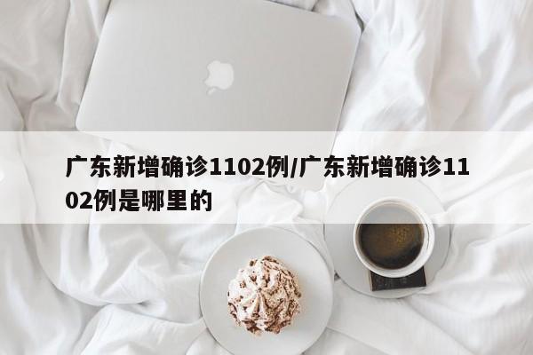 广东新增确诊1102例/广东新增确诊1102例是哪里的